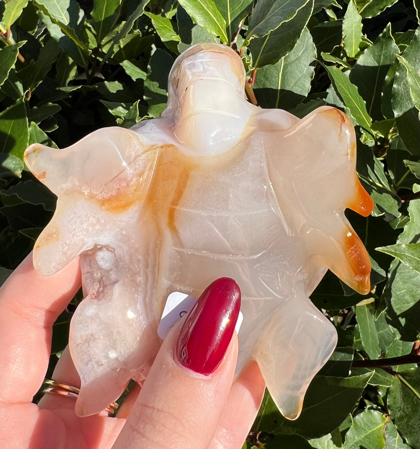 Pink amethyst and agate turtle
