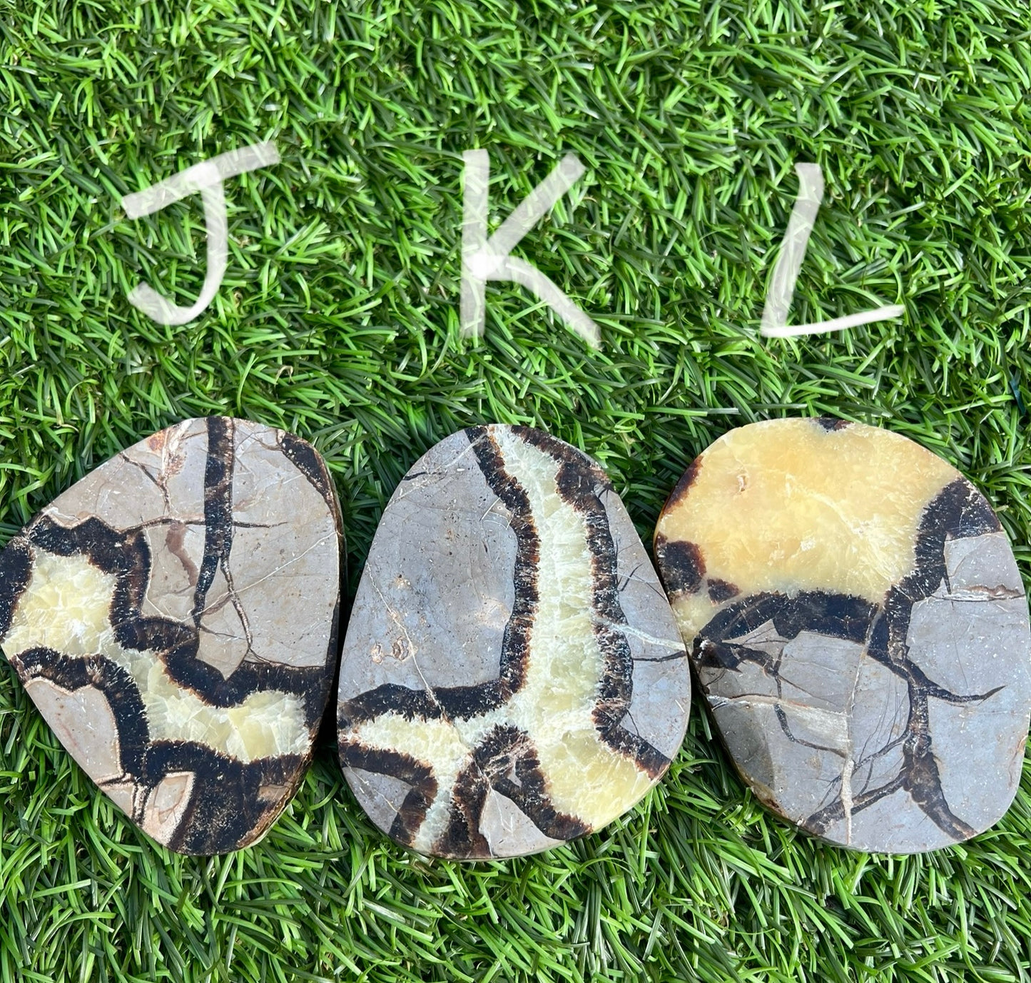 Septarian slices