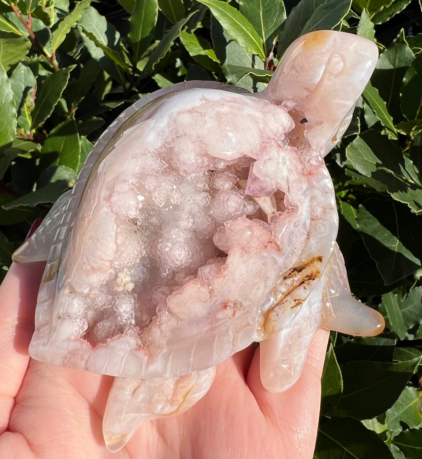 Pink amethyst and agate turtle