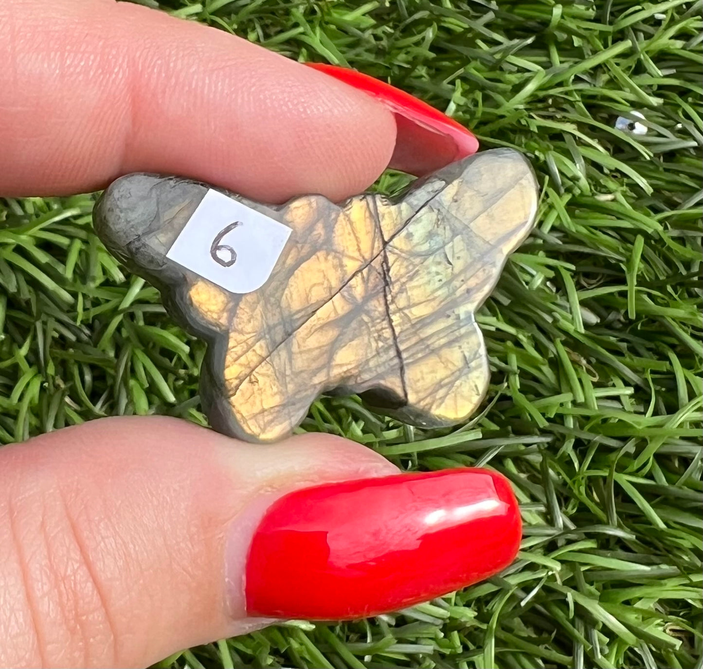 Labradorite butterfly carvings
