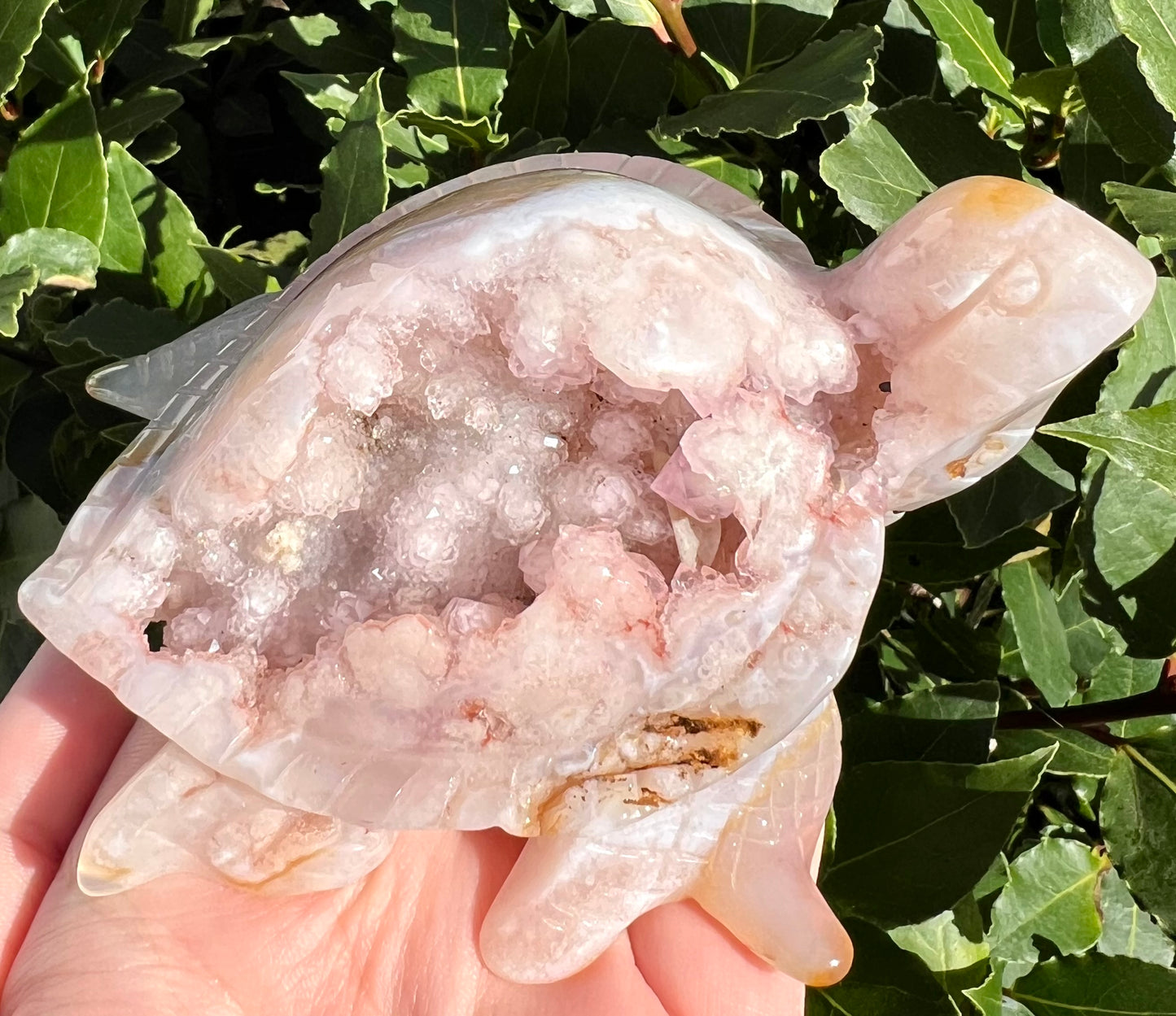 Pink amethyst and agate turtle