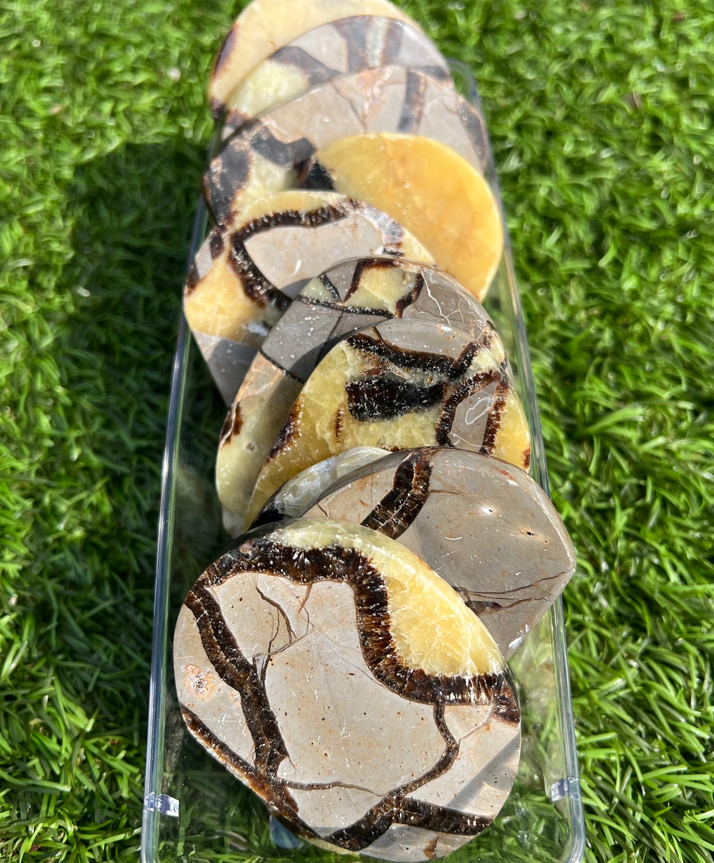 Septarian slices