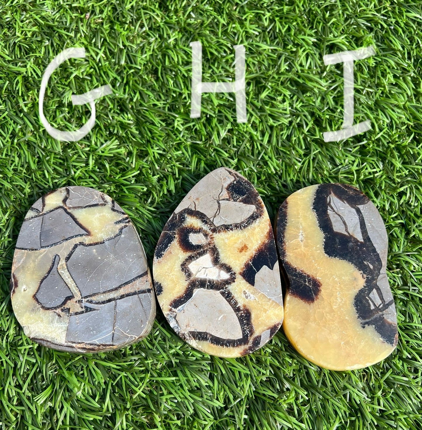 Septarian slices