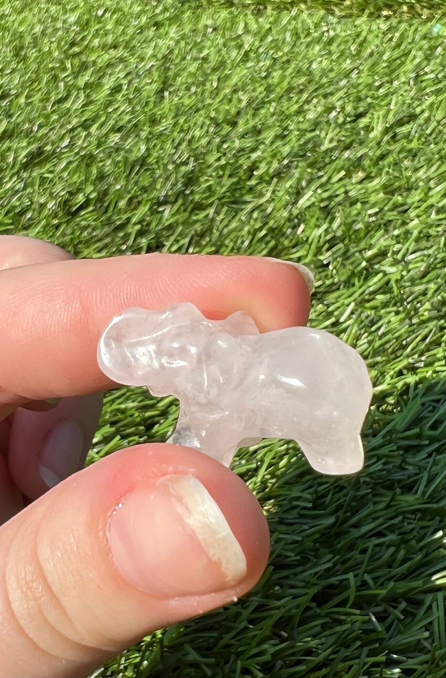 Mystery mini elephants
