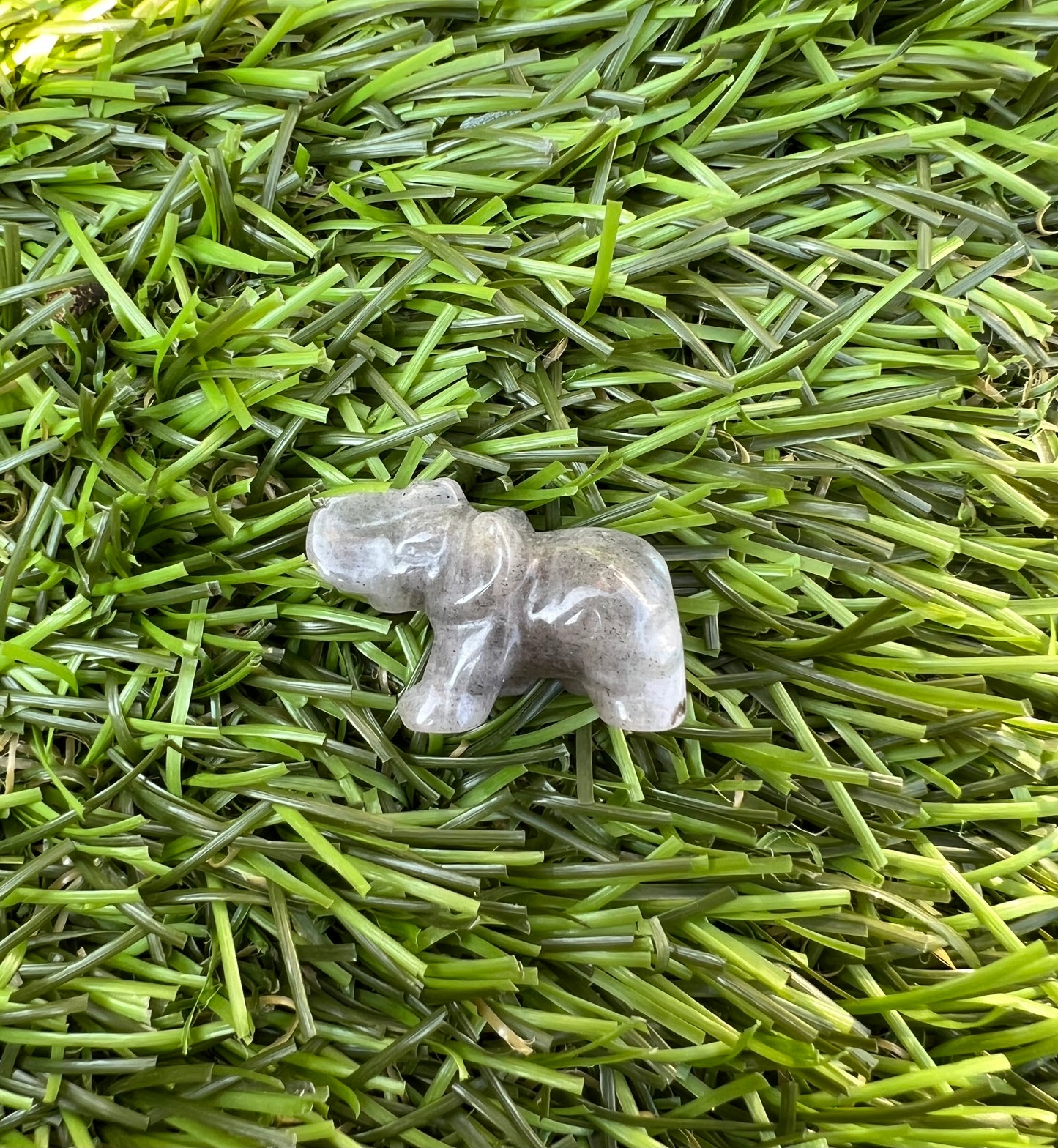 Mystery mini elephants