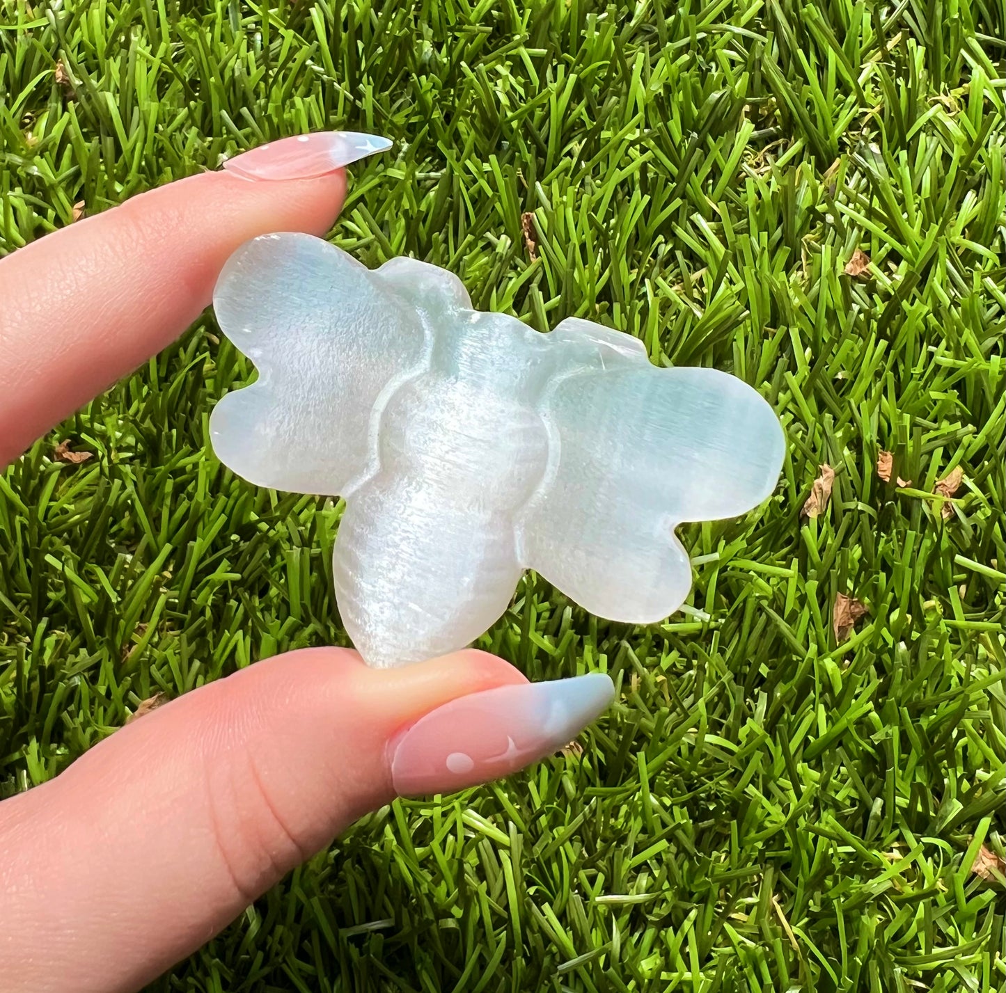 Selenite bee