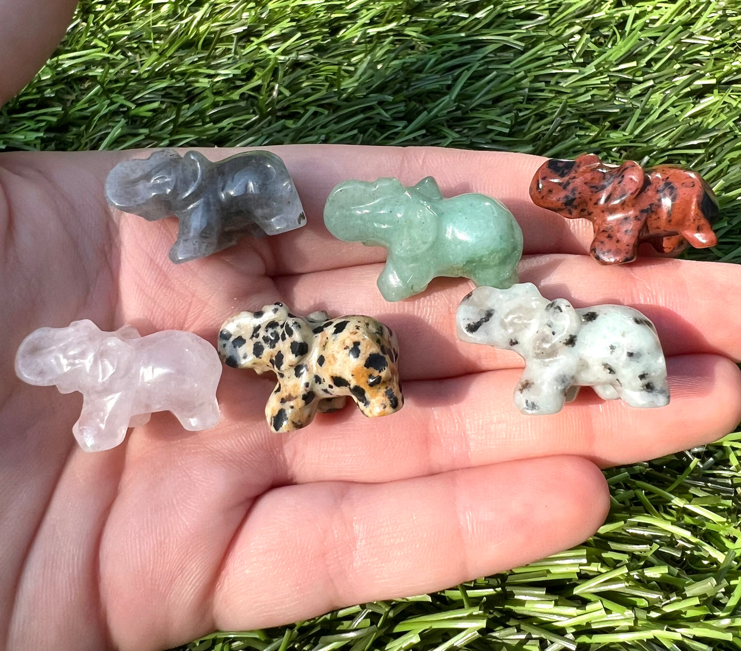 Mystery mini elephants