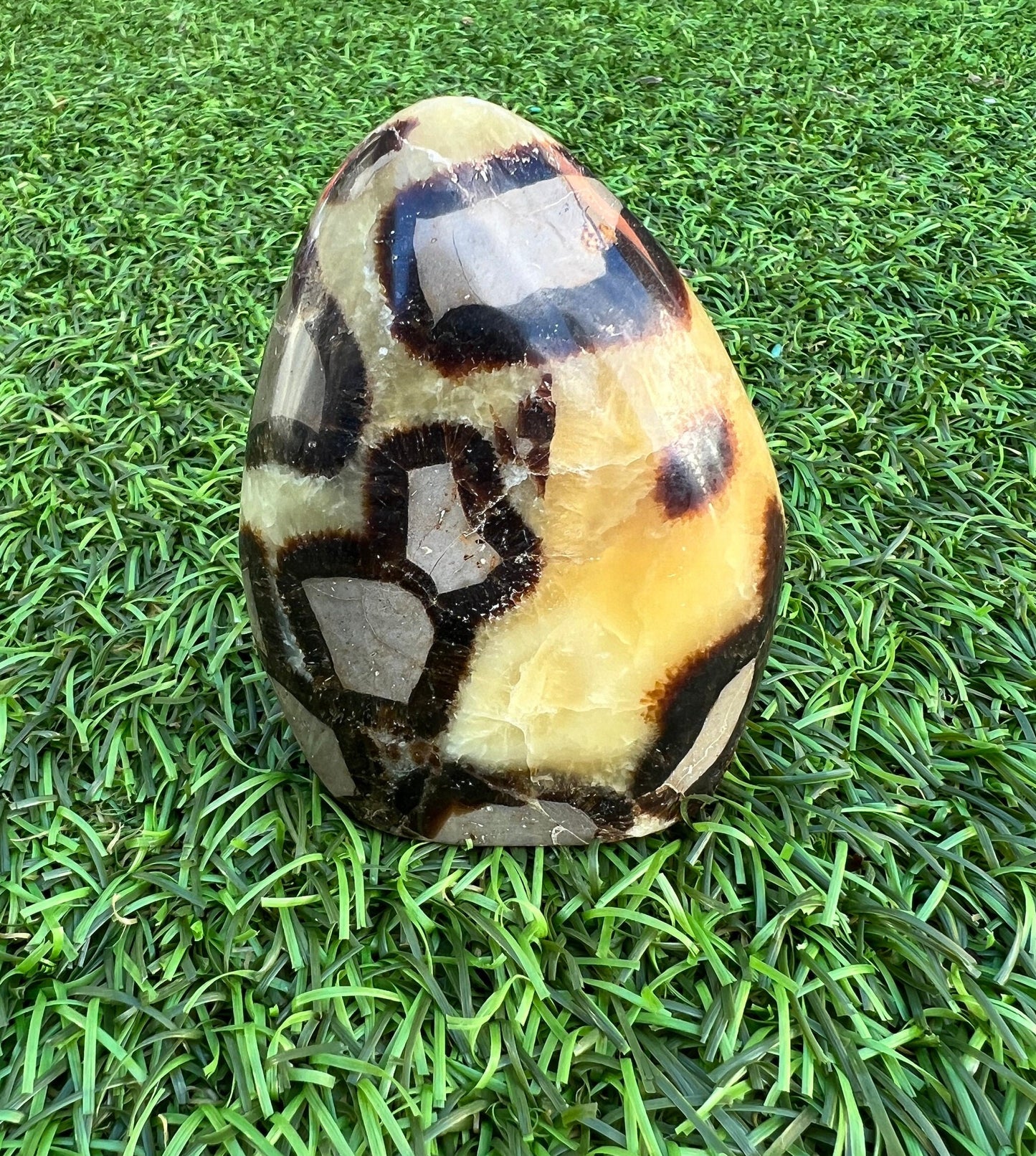Free forms (polychrome Jasper, Septarian, Amazonite)