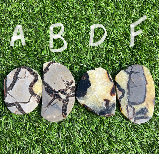 Septarian slices