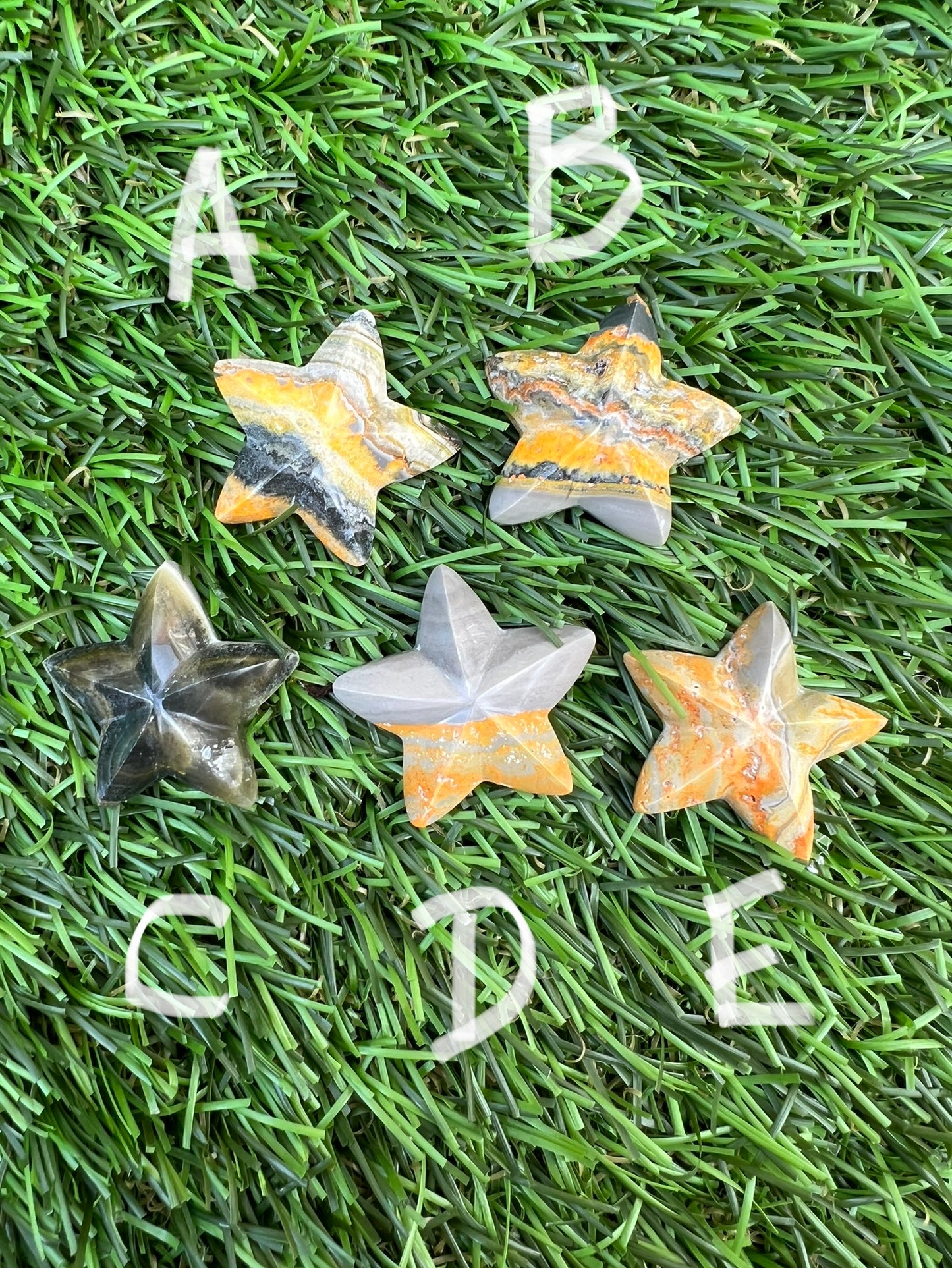 Bumble bee jasper stars