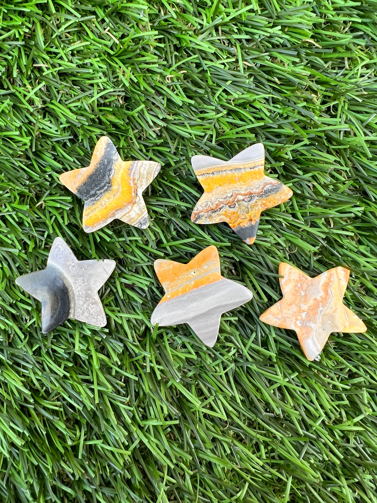 Bumble bee jasper stars