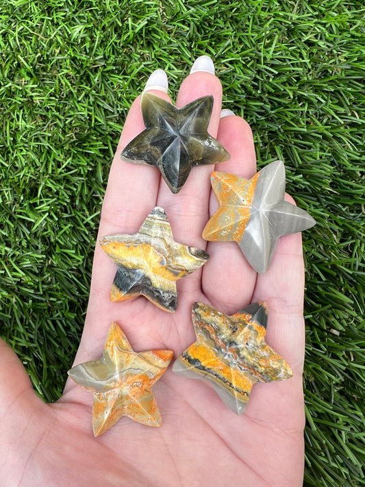 Bumble bee jasper stars