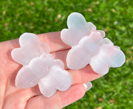 Selenite bee