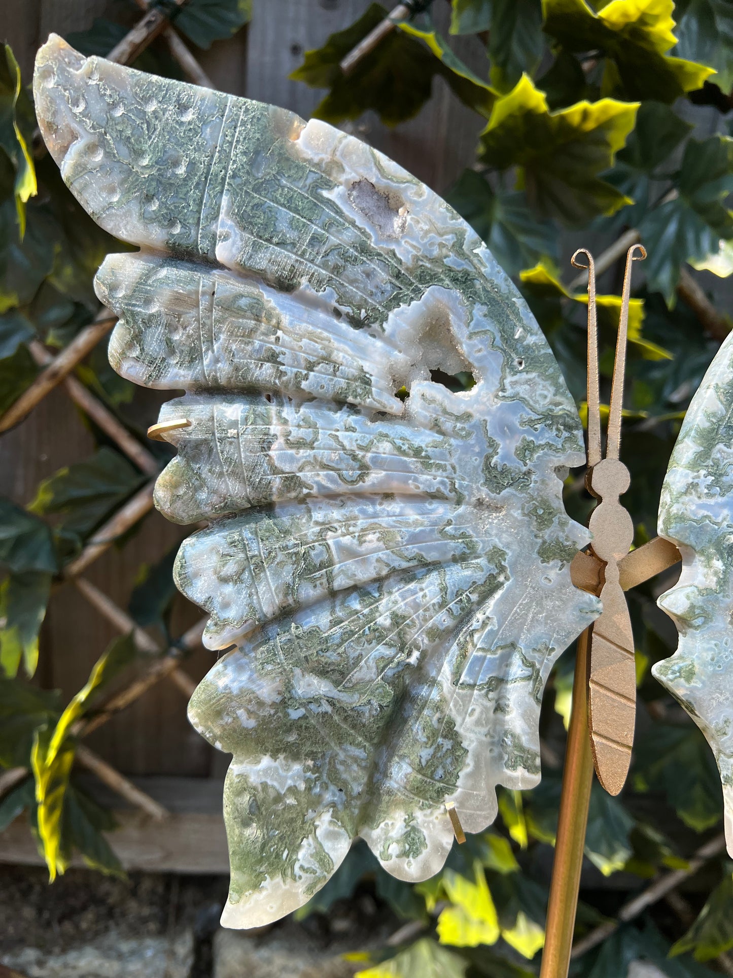 Blue/ green Moss Agate butterfly